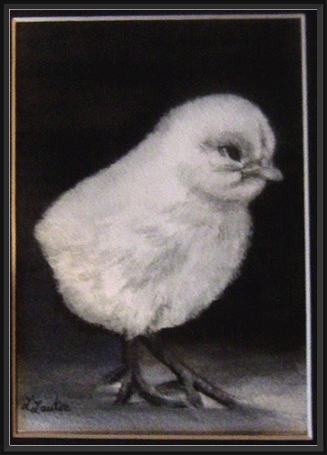 Baby Chick  
9/06